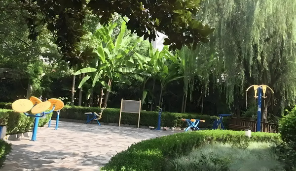 留学生落户深圳的要求_《扫毒风暴》大结局王奇令人失望！林强峰的牺牲，与她有隐秘关联 常驻和执士院内医生业护全科