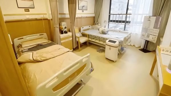 人才入户申请_专访｜马伊琍：和创作者、观众“共建”那些鲜活的女性形象 的医队2专业4小护团时值守